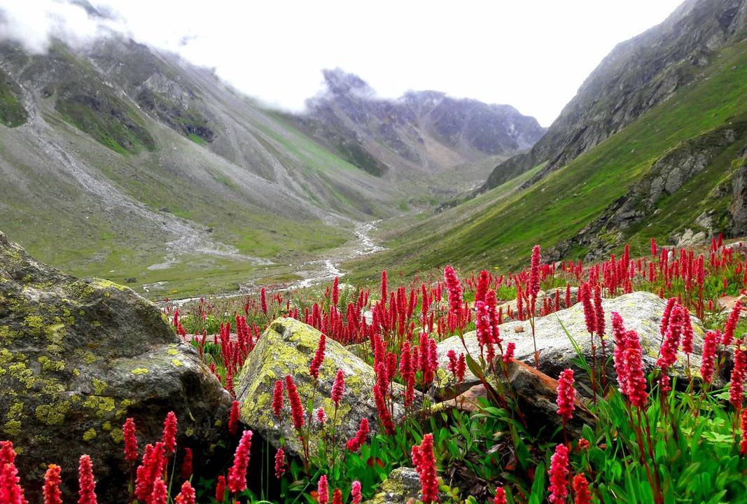 Photo of Others in Sangla