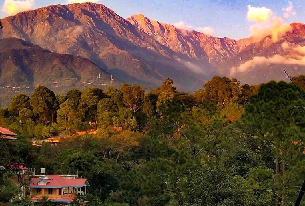 Photo of Others in Palampur