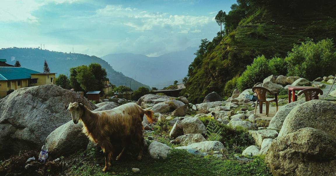 Photo of Others in Bathri