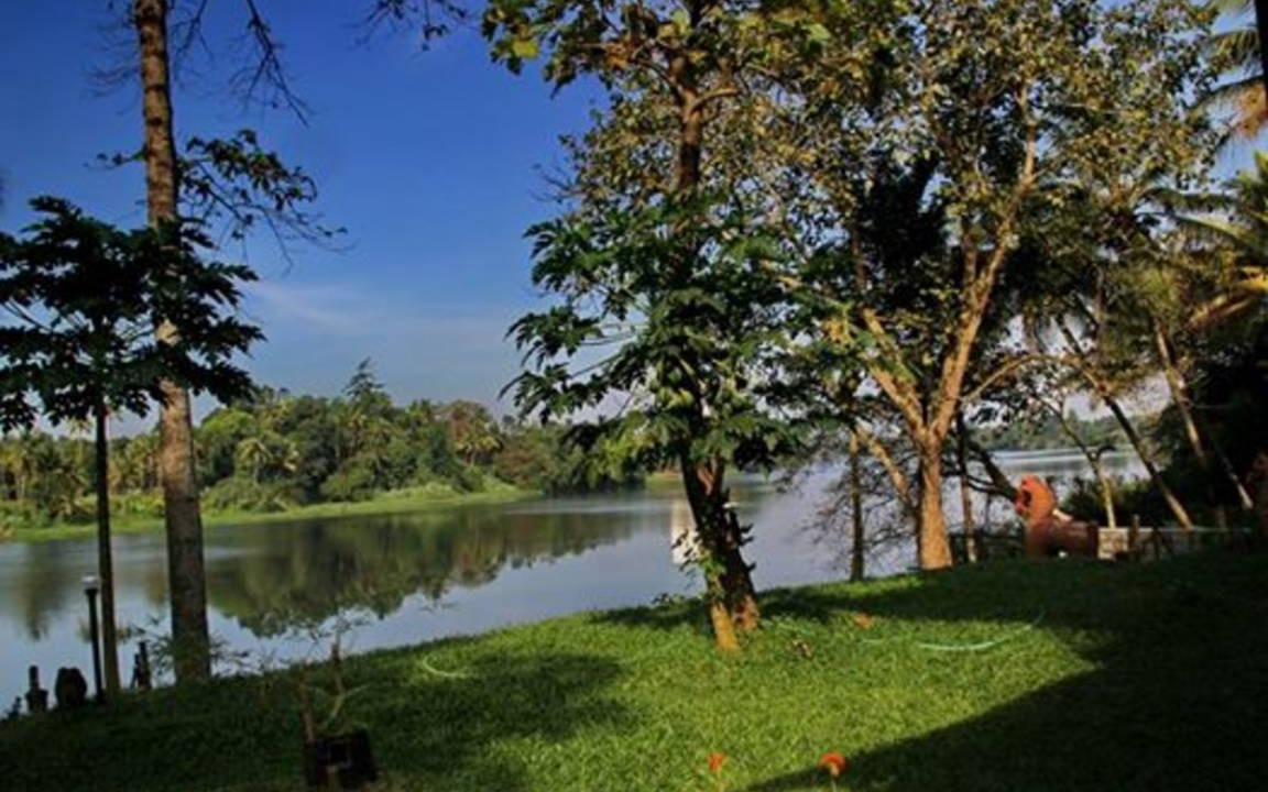 Photo of Others in Nedumbassery
