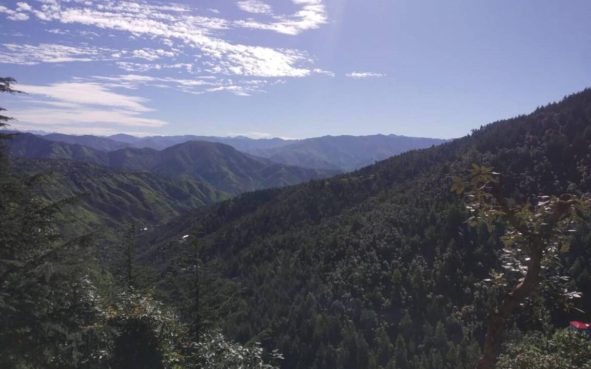 Photo of Others in Chail