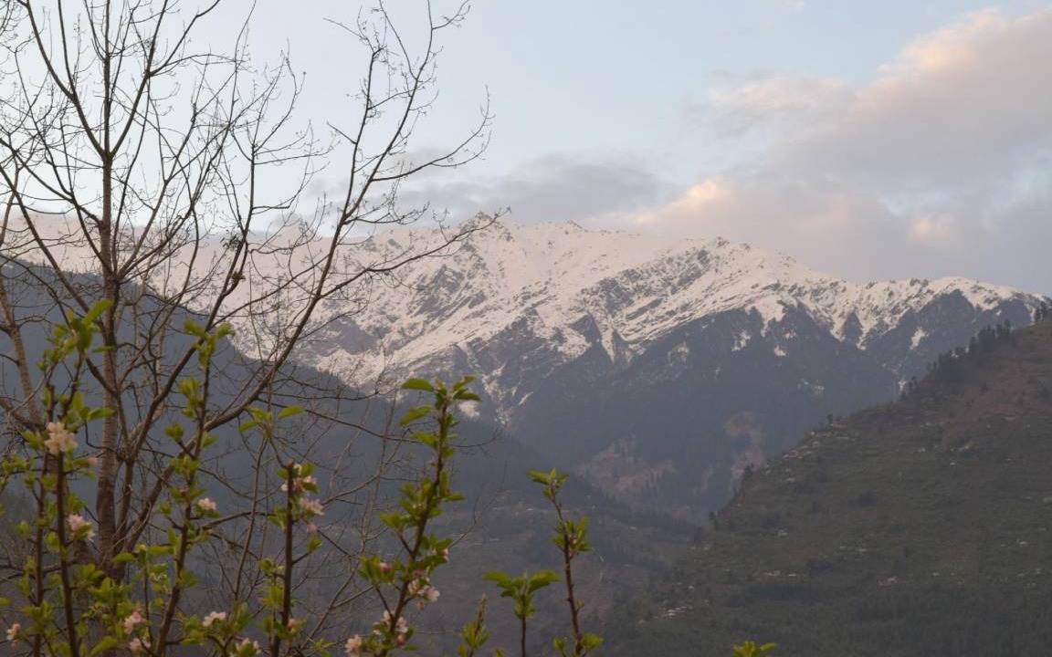 Photo of Others in Naggar