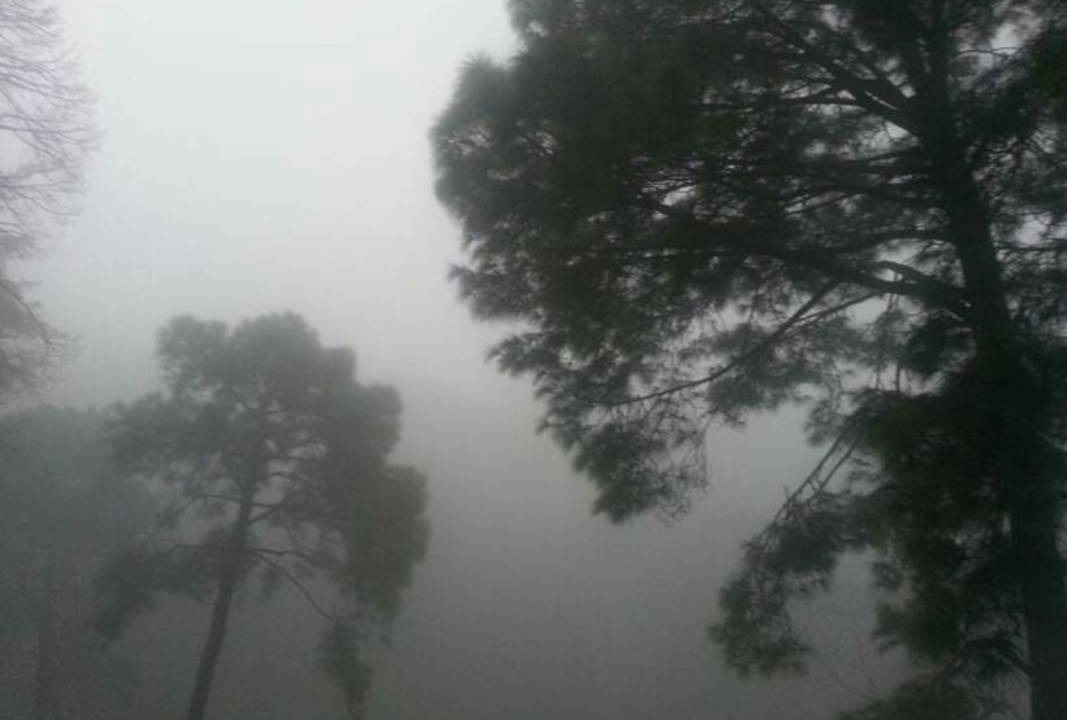 Photo of Others in Palampur