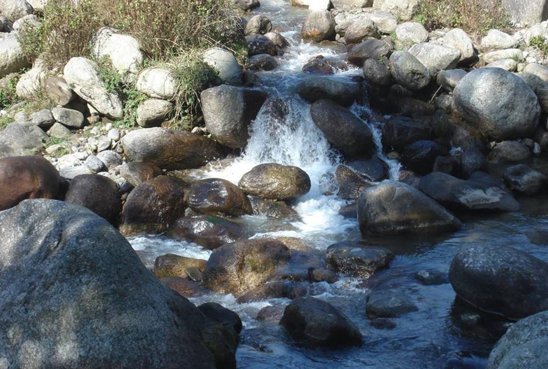 Photo of Others in Palampur