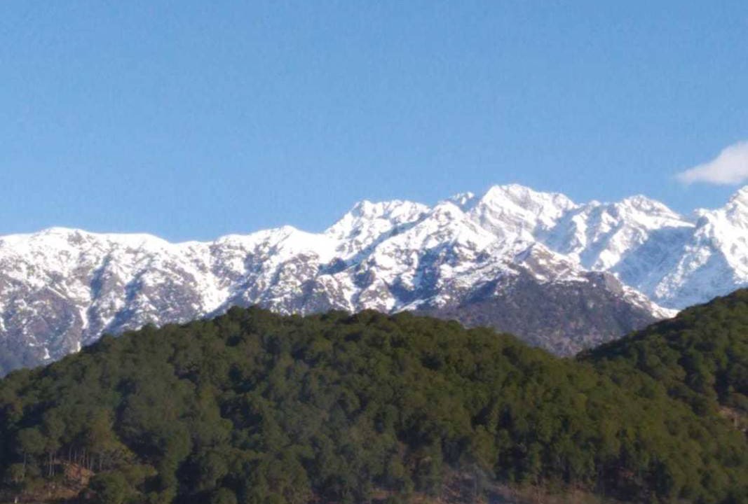Photo of Others in Palampur