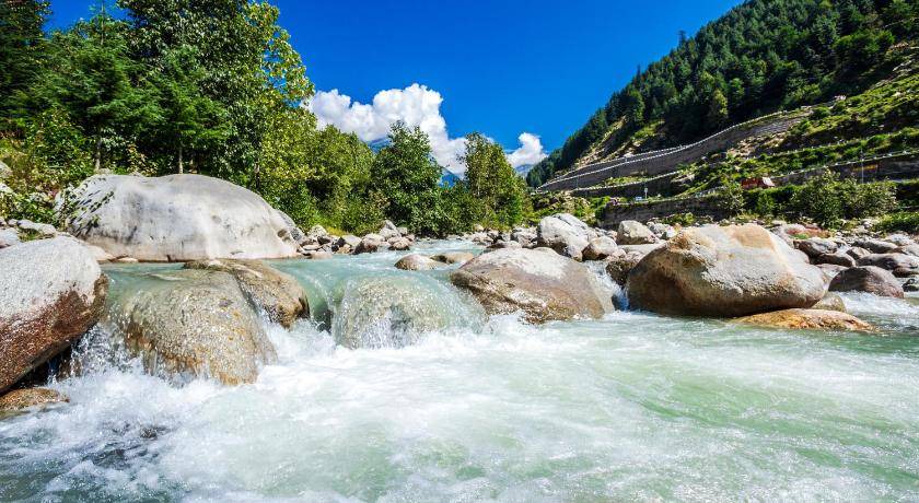 Photo of Others in Manali