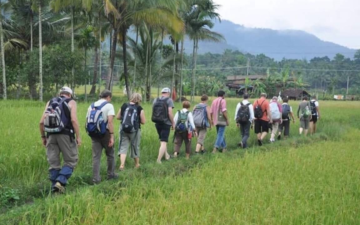 Photo of Others in Perambra
