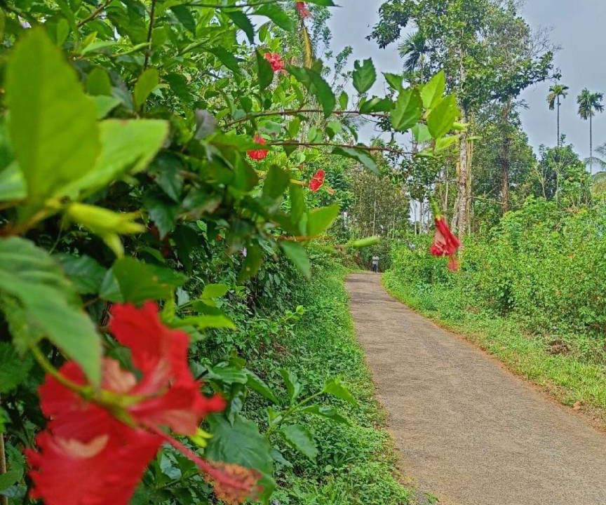 Photo of Others in Vythiri