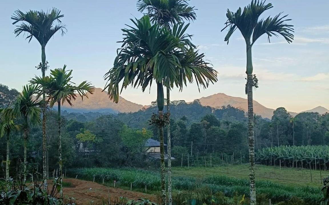 Photo of Outdoor in Vythiri