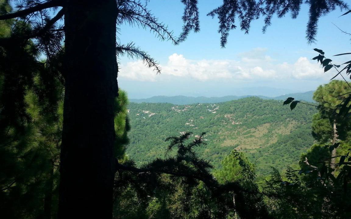 Photo of Others in Kasauli