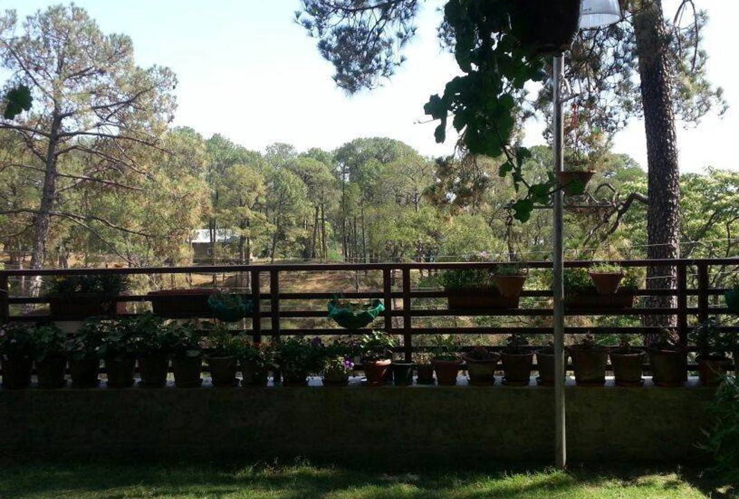 Photo of Others in Palampur