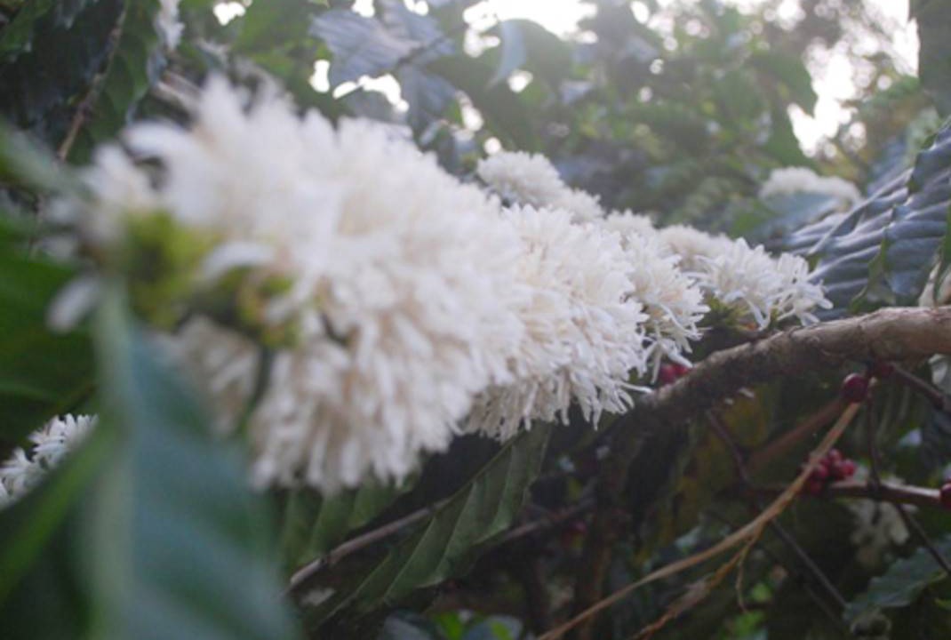 Photo of Outdoor in Kakabe