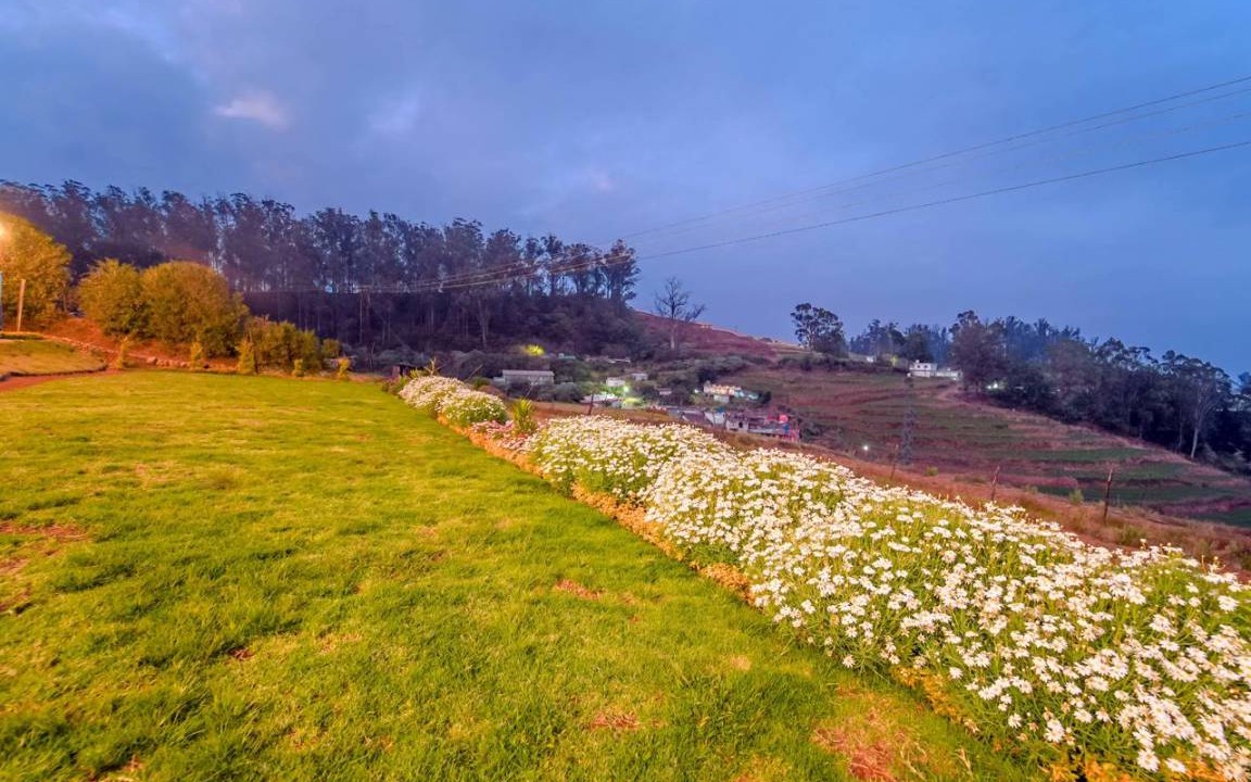 Photo of Others in Ooty