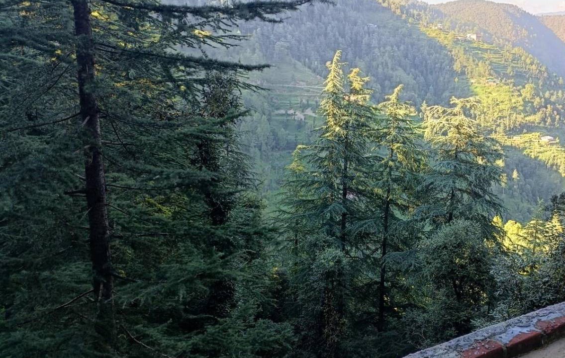 Photo of Others in Chail