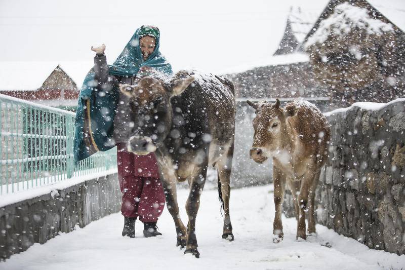 Photo of Others in Chitkul