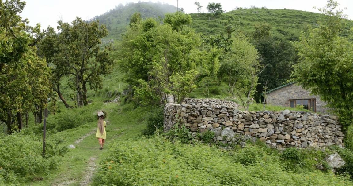 Photo of Others in Jakh