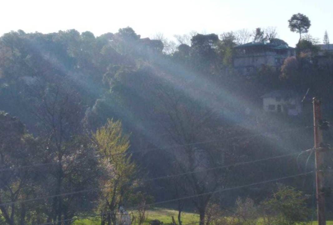 Photo of Others in Palampur