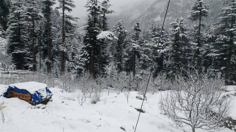 Photo of Others in Sangla