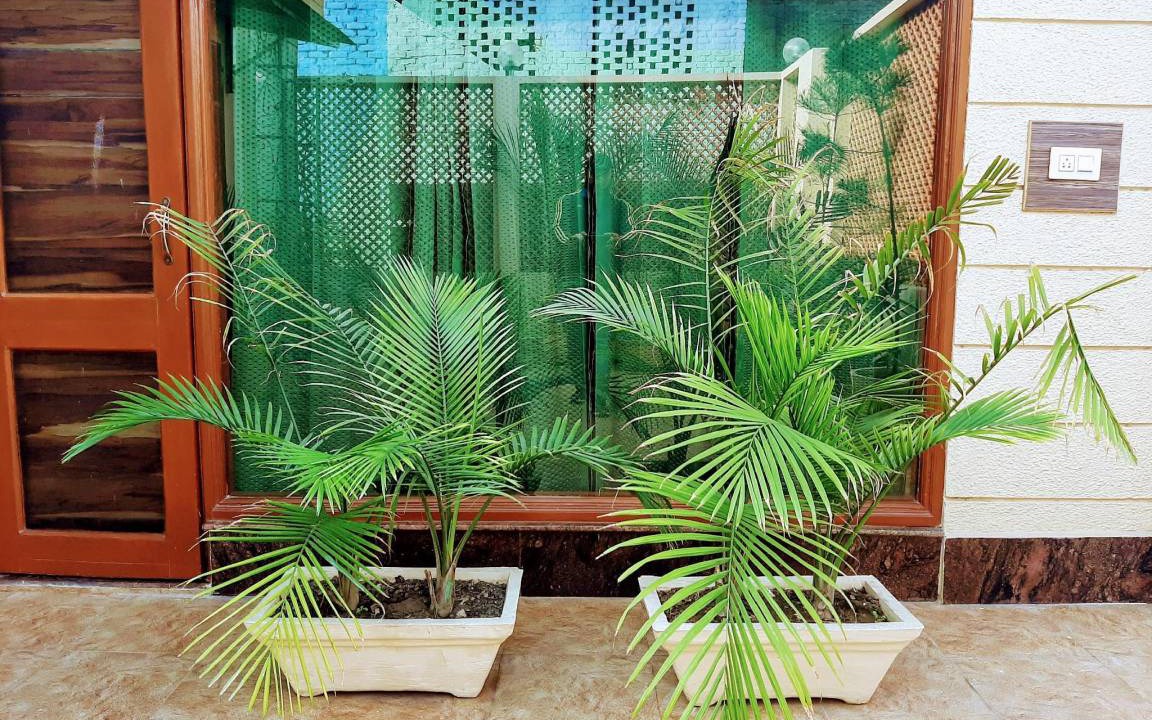 Photo of Patio Balcony in Amritsar