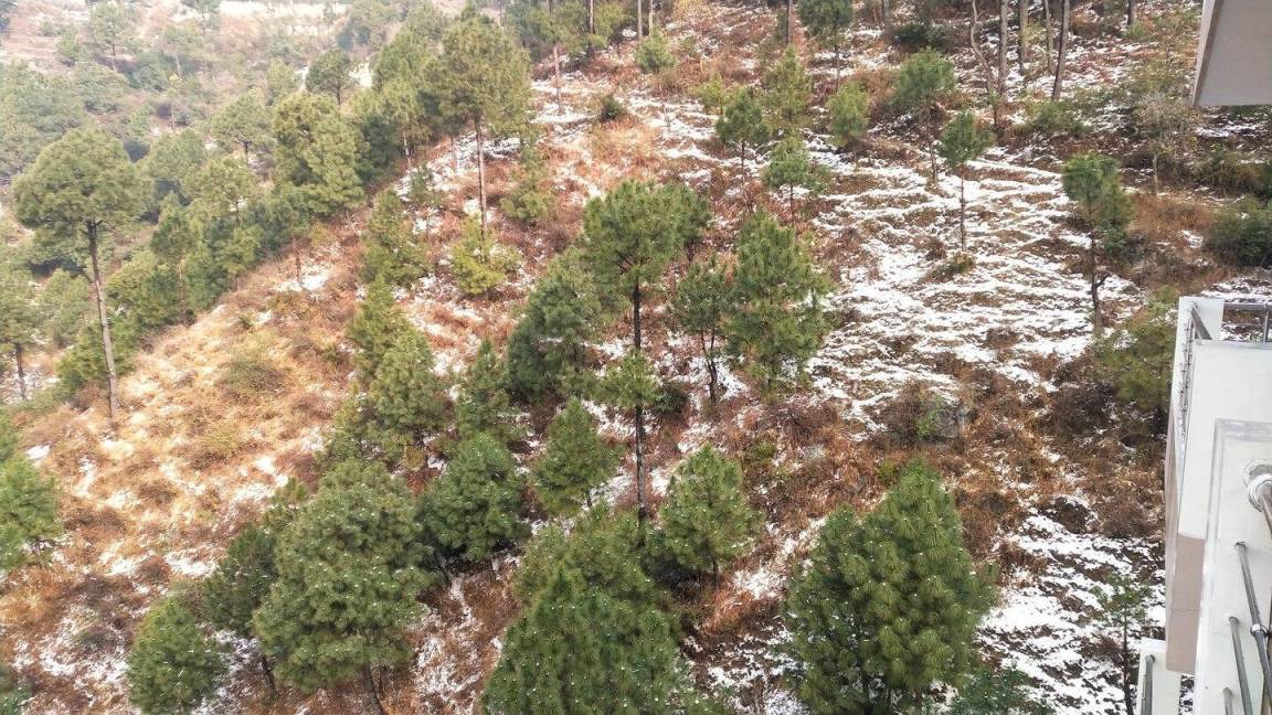 Photo of Others in Barog
