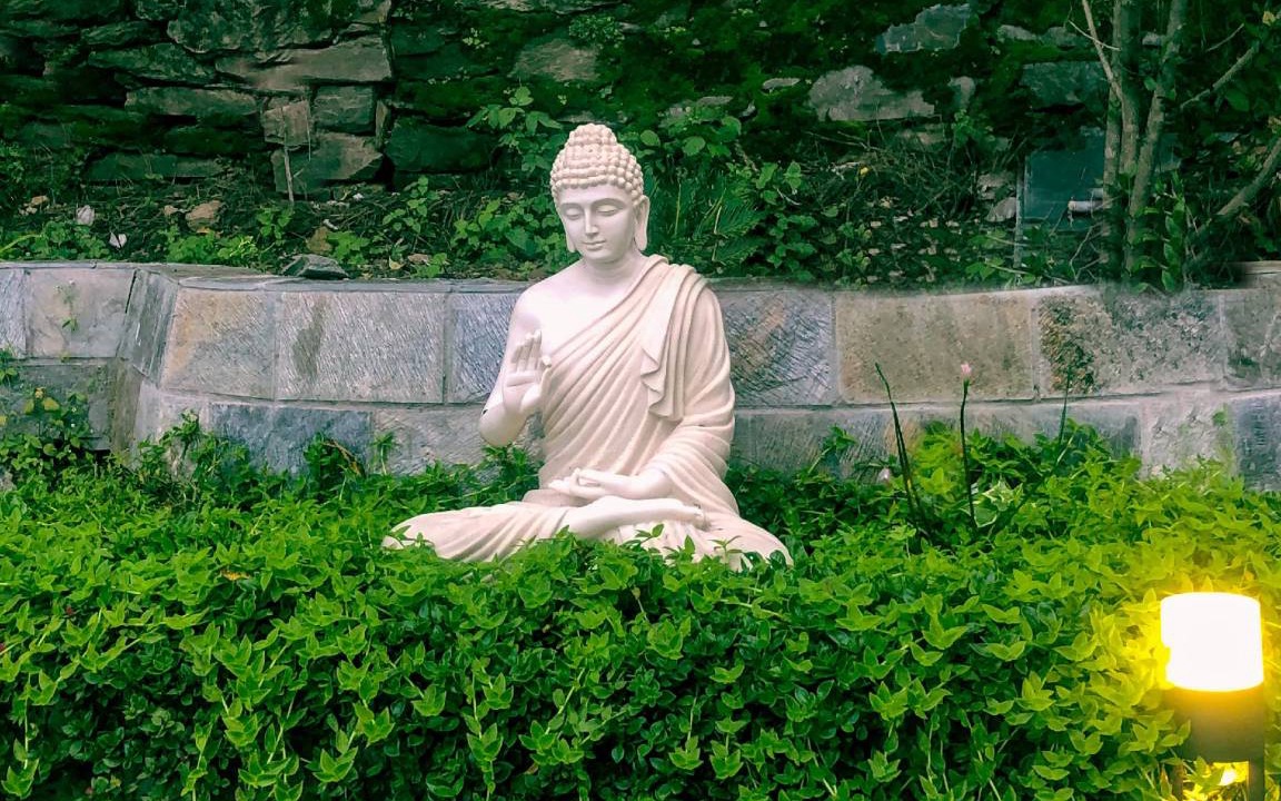 Photo of Others in Shimla