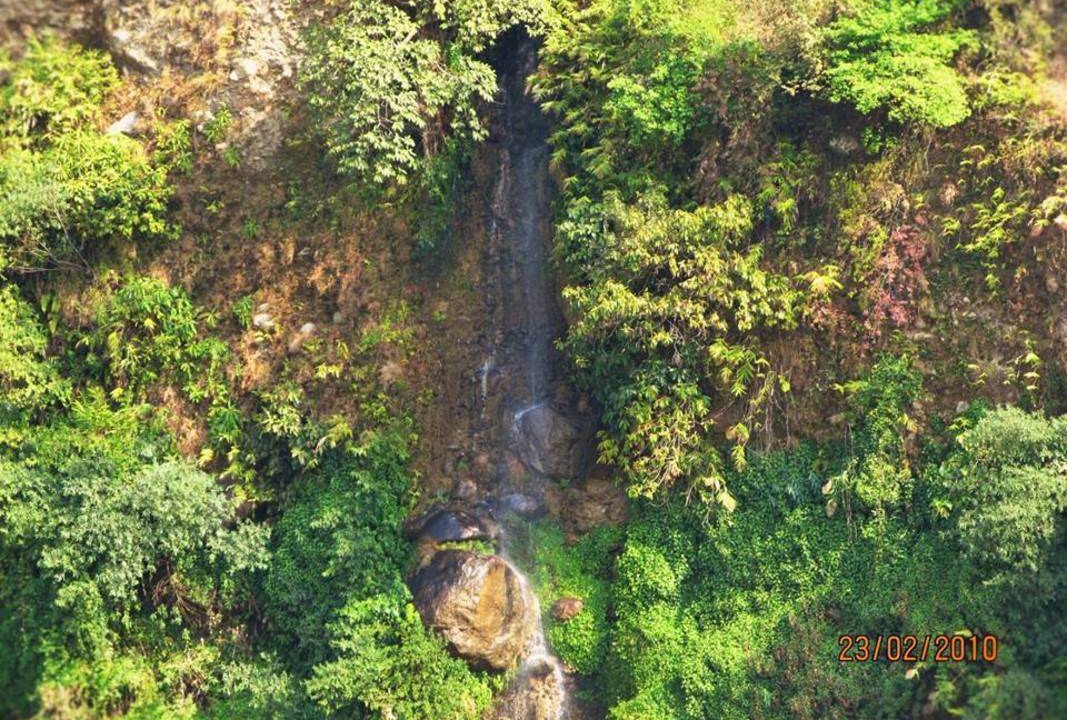 Photo of Others in Palampur