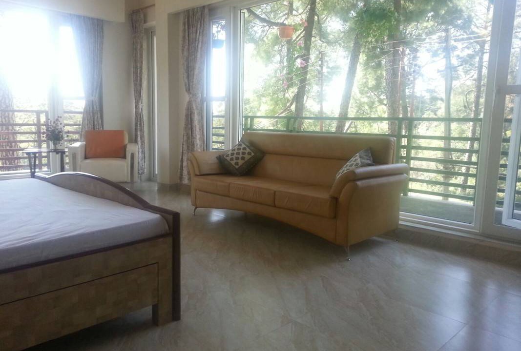 Photo of Others in Palampur