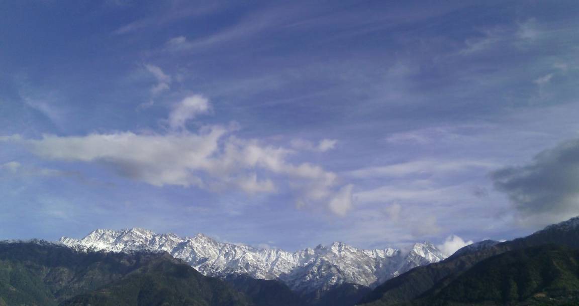Photo of Others in Palampur