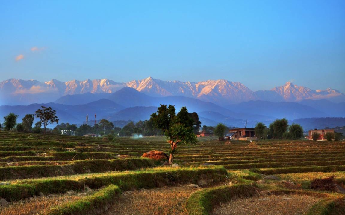Photo of Others in Kangra
