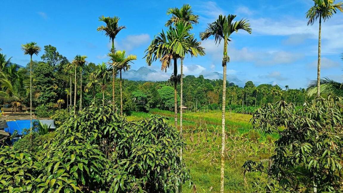 Photo of Outdoor in Vythiri