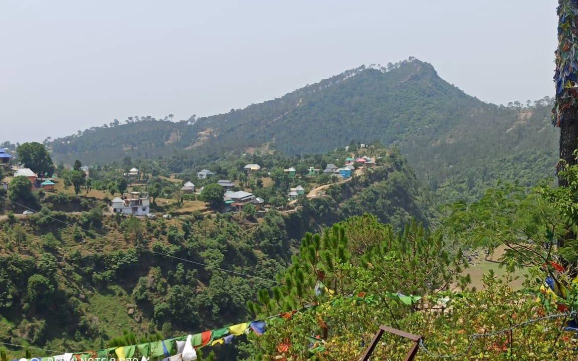 Photo of Others in Rewalsar