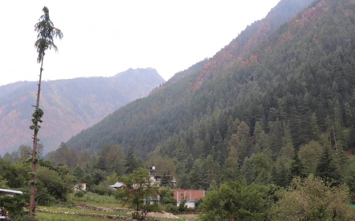 Photo of Others in Kasol