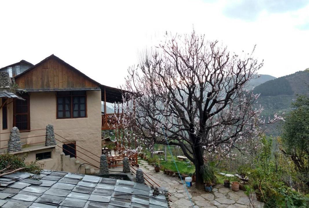 Photo of Others in Chamba