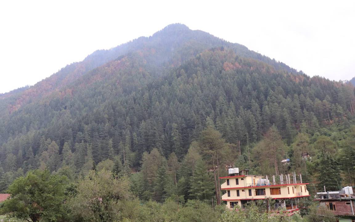 Photo of Others in Kasol