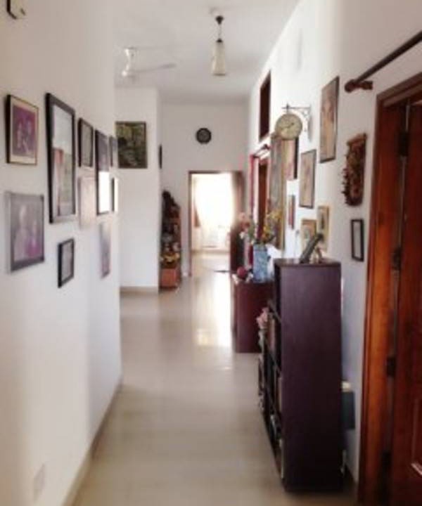 Photo of Others in Chandigarh