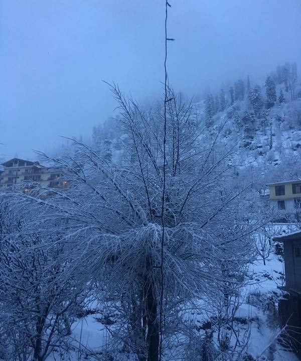 Photo of Others in New Manali