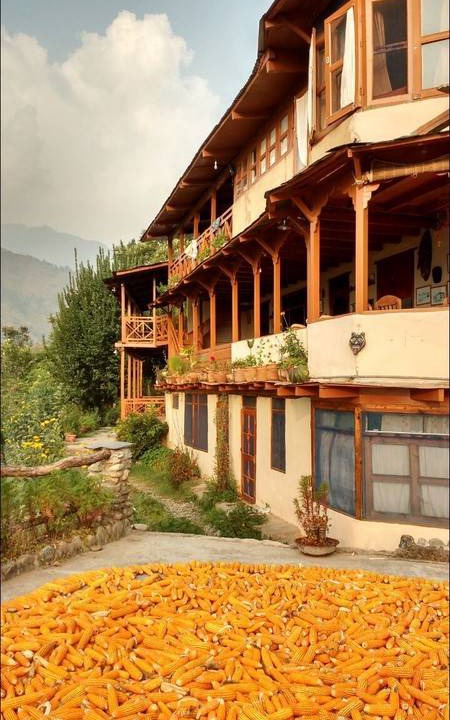 Photo of Others in Chamba
