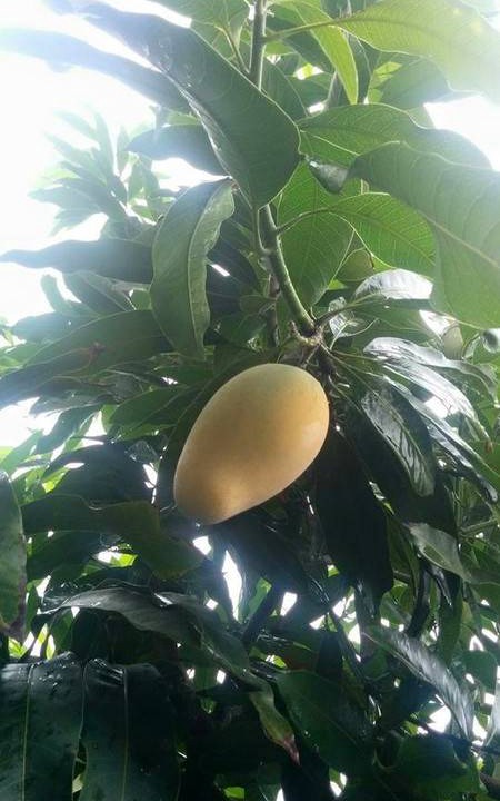 Photo of Outdoor in Janakpuri