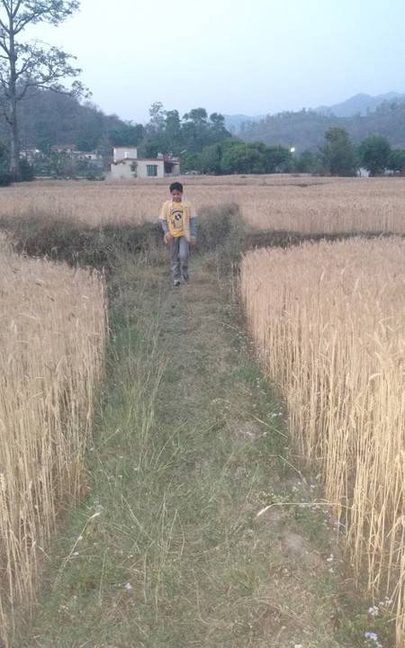 Photo of Others in Bullawala