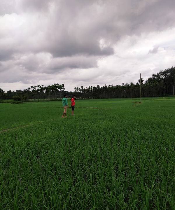 Photo of Others in Mullenkolly