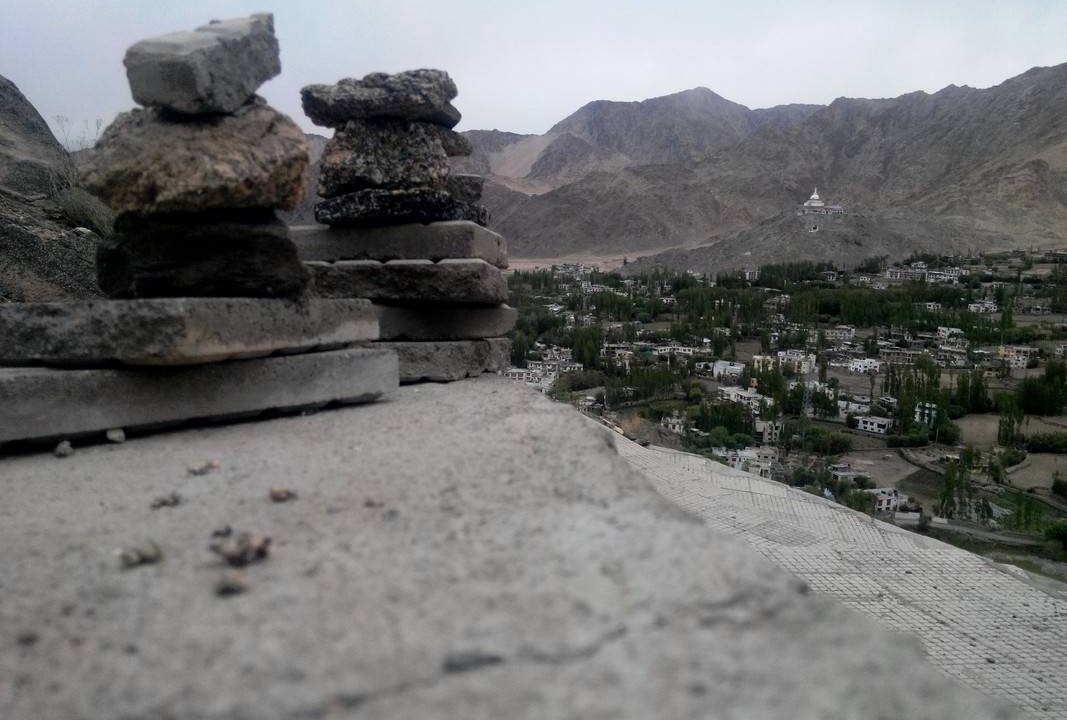 Photo of Others in Leh