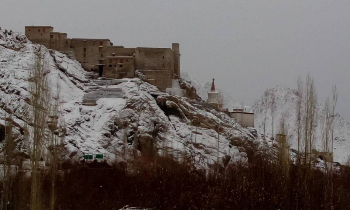 Photo of Others in Leh
