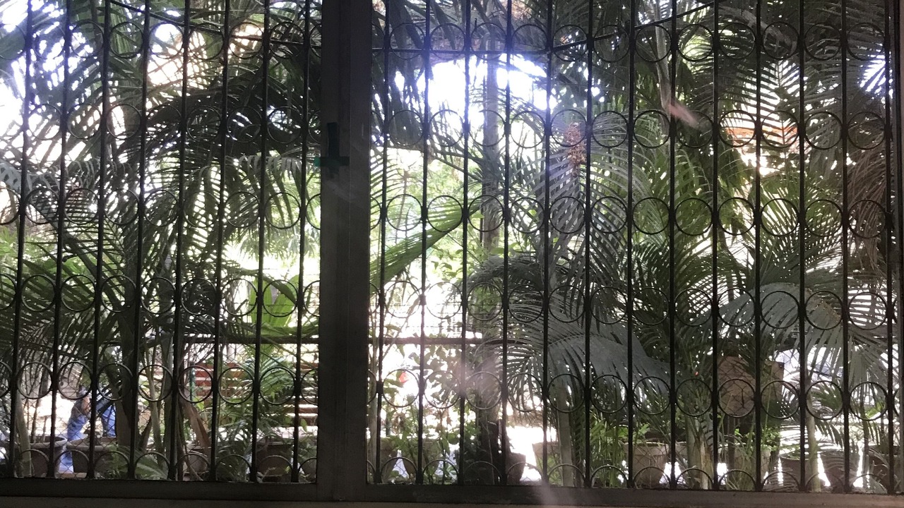 Photo of Others in Koregaon Park