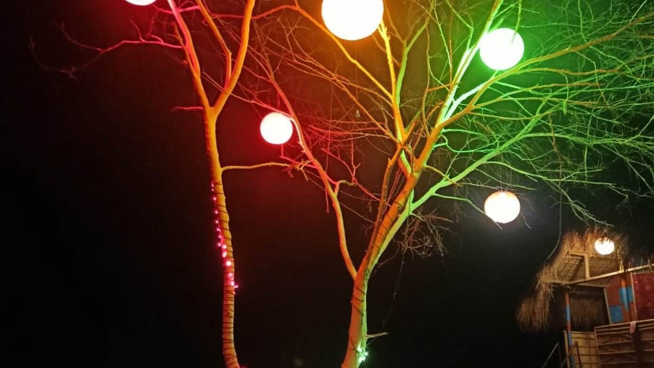 Photo of Outdoor in Marigaon District
