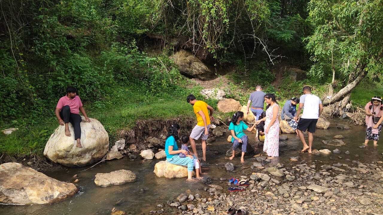 Photo of Outdoor in Masinagudi