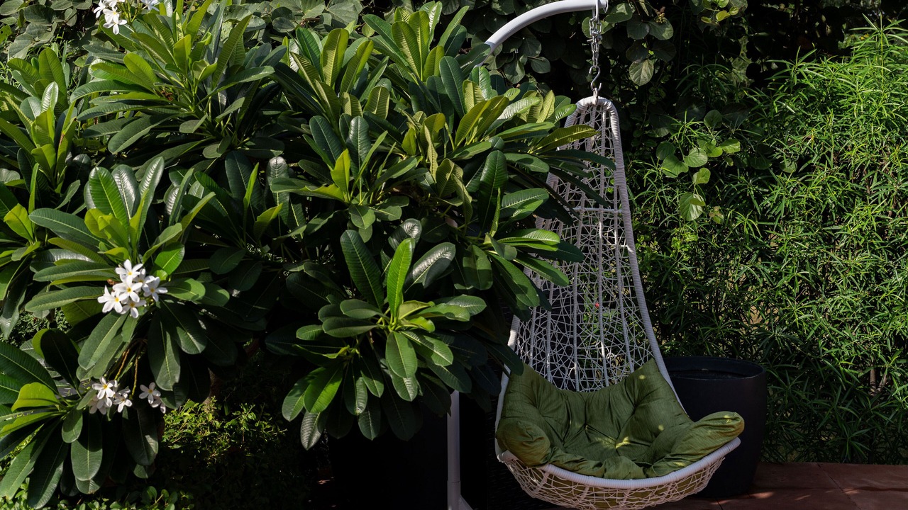 Photo of Outdoor in Village Hokra