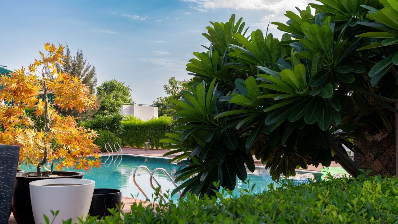 Photo of Outdoor in Village Hokra