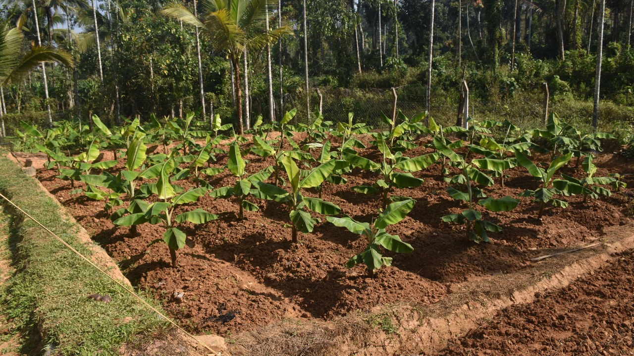 Photo of Outdoor in Vayittiri
