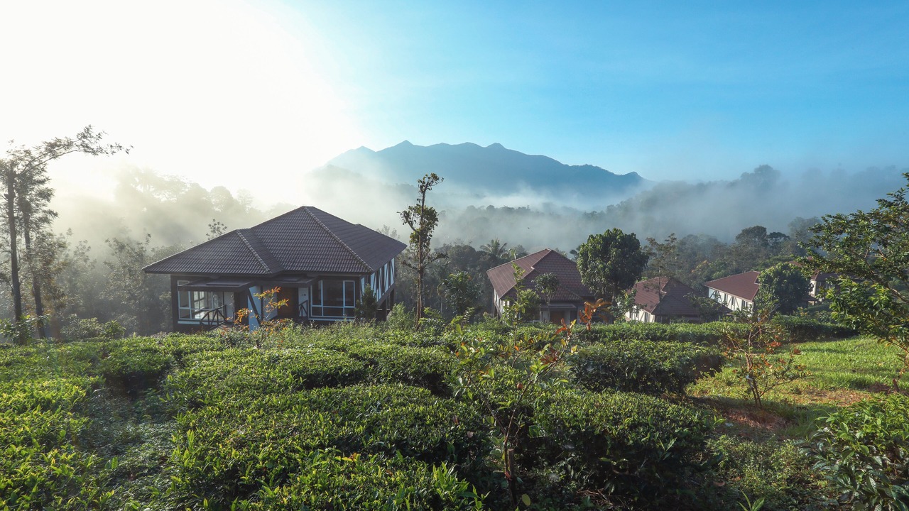 Photo of Outdoor in Vayittiri