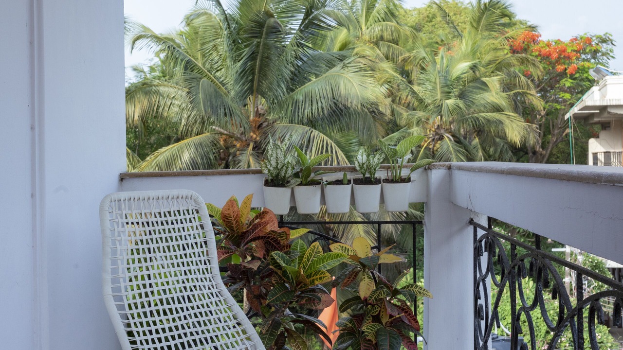 Photo of Outdoor in Calangute